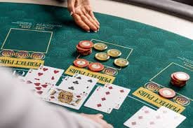 bet 3333 bet